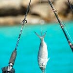 Fishing Bremer Bay Beaches WA - Photo Credit Bremer Bay CRC