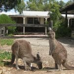 Quaalup Homestead Bremer Bay WA - Photo Credit Carsten Wagner-Richelmann