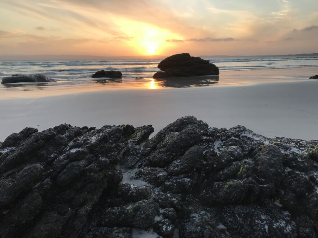 Blossoms-Sunset-Bremer-Bay-WA